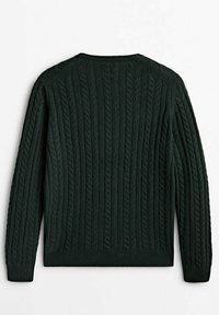 Dunkelgrüner Strickpullover mit einem strukturierten Kabeldesign und Rippstrick an den Bündchen und dem Saum. Die Rückansicht zeigt das vollständige Muster und die Form.