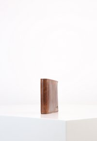 Fossil Monedero - dark brown