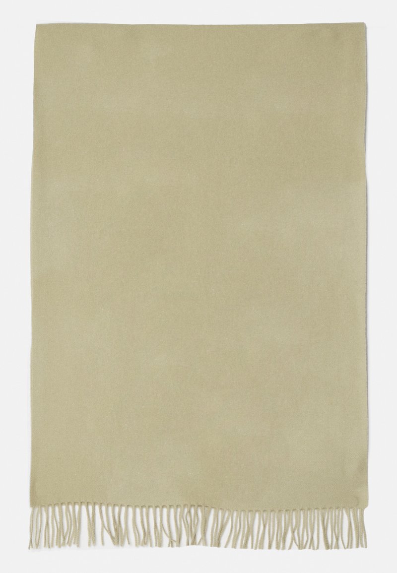 Light green blanket with a smooth texture, featuring fringed edges for detail. Simple rectangular shape, suitable for various uses.