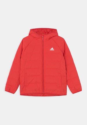 FROOSY UNISEX - Bunda z prachového peří - vivid red/white