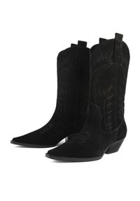 Stivali da cowboy in suede nero con punta appuntita, cuciture decorative, linguette per il riposo e un tacco corto e impilato. Parte superiore testurizzata con motivi western.