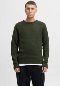 Groene ribgebreide trui met ronde hals, lange mouwen en een relaxte pasvorm, met een gestructureerd oppervlak en een zijlabel-detail.