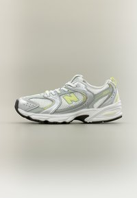 Non sélectionné, silver-coloured metallic/fennel seed