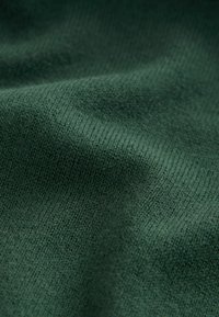 Next REGULAR FIT - Džemper - green