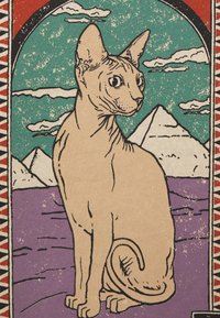 Ilustrace béžové kočky Sphynx na multikolorovém pozadí s horami a mraky, obkroužená černým konturem, s texturovaným povrchem.