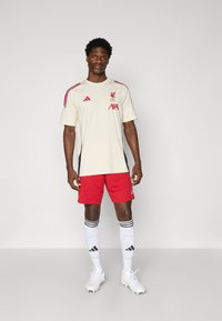 adidas Performance Squadra - white