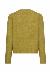 Groene gebreide trui met een ronde halslijn, lange mouwen en geribde boorden en onderkant. De textuur lijkt zacht en licht van gewicht.