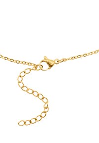 Collana in oro con un design a maglia fine, dotata di un gancio a moschettone e di una sezione della catena regolabile per personalizzare la lunghezza.