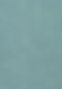 Person in a wheelchair using a laptop on a desk, with bookshelves and plants in the background in a cozy room.