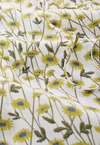 Seasalt Cornwall COBBS WELL - Top - tangled daisies chalk  yellow