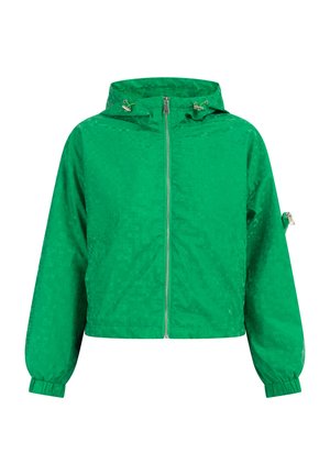 Groene hoodiejas met volledige rits aan de voorkant, lange elastische cuffs en een klein ritsvakje op de linker mouw.