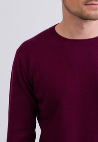 CASH-MERE RUNDHALS  - Maglione - cranberry rot