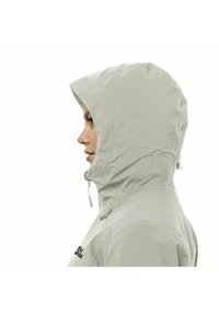 Jack Wolfskin HEIDELSTEIN - Wintermantel - dove