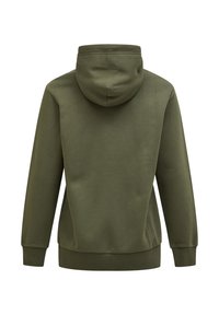 Olijfgroene hoodie met een ruime capuchon, geribde manchetten en boord. Zachte katoenen mix met een gladde textuur en geen zichtbare patronen.