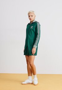 Roheline sportlik kapuutsiga kleit hallide triipudega varrukatel ja bordüüritud logoga rinnaosas. Valmistatud siledast kangast, põlvikuni pikk.