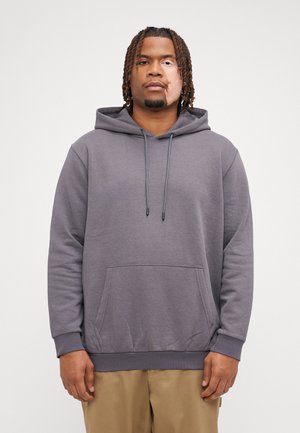 Jack & Jones JJEBRADLEY HOOD - Sweatshirt - castlerock