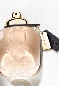 Klart glassparfymeflaske med avrundede kanter, et gulllokk, mørk lærdetalj, gravert hest og vogn-logo, og en gull-tag charm.