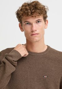 Brązowy sweter z dzianiny z okrągłym dekoltem, teksturowana tkanina i małe logo flagi na piersi. Model trzyma kołnierz.