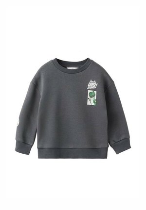 Sweat-shirt gris en matériau doux, avec un patch graphique représentant un dinosaure sur le devant et des poignets côtelés.