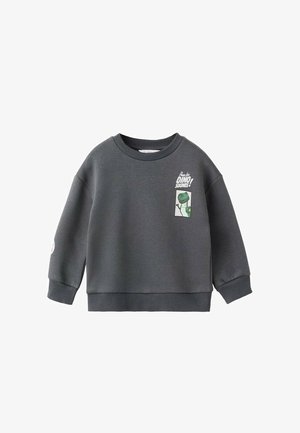 Grå sweatshirt i mjukt material med en grafisk tygmärke föreställande en dinosaurie på framsidan och muddade ärmslut.