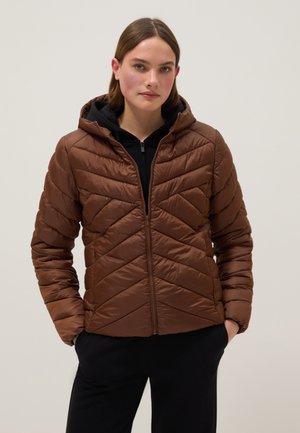 OVS, PADDED JACKET REGULAR FIT HOOD - Winterjas - tobacco brown