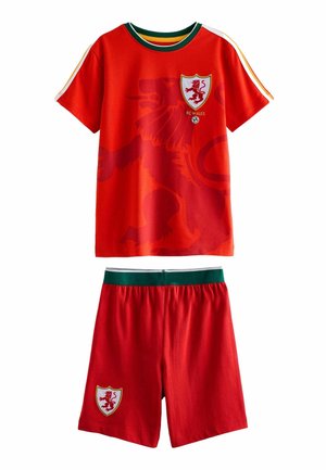 REGULAR FIT SET - Šortky - red yellow green wales