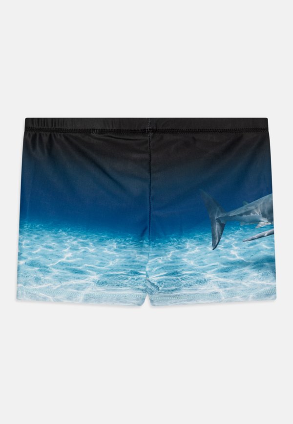 NORTON PLACED TRUNKS - Swimming trunks2