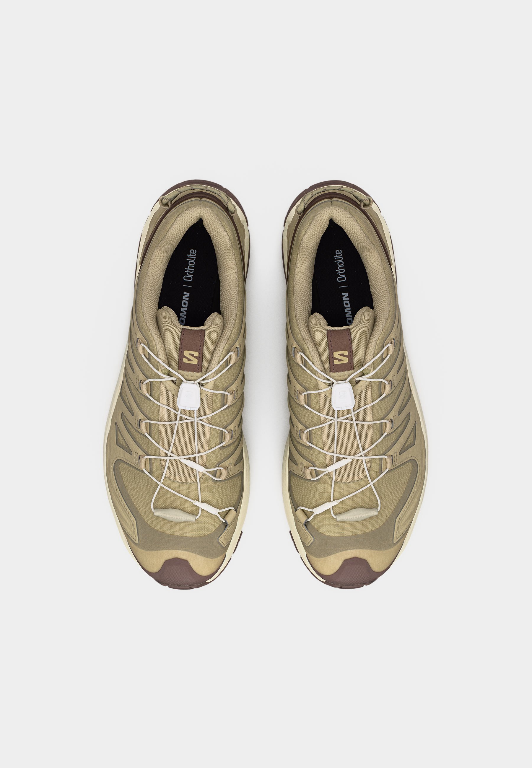 Salomon XA PRO 3D V9 LIFELONG - Outdoorschoenen - eucalyptus/iron