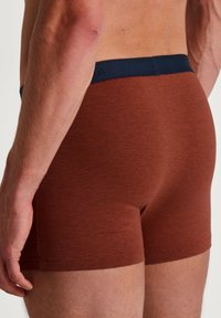 Calida NEW 3ER-PACK - Trunks - rooibos red