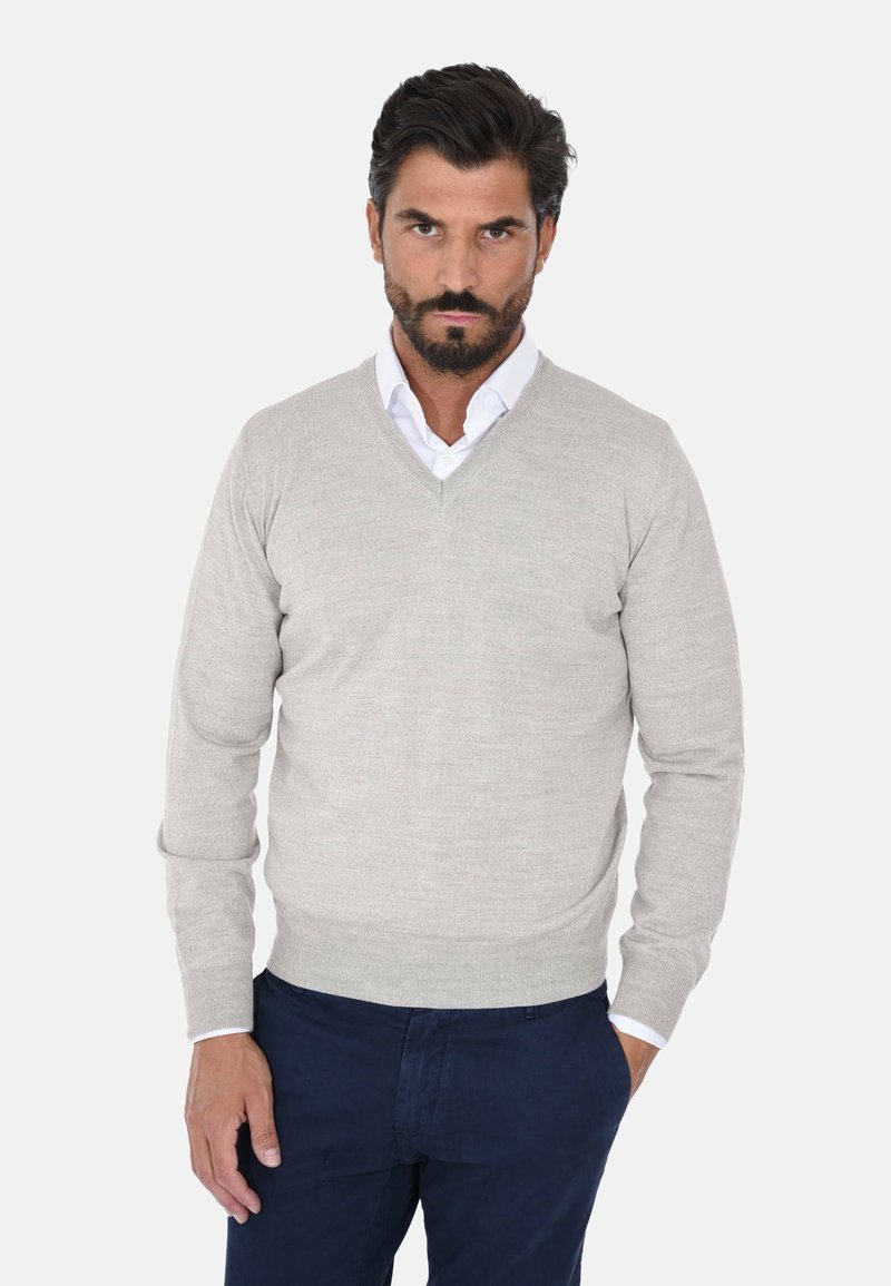 Maglione grigio chiaro a scollo a V in un fine tessuto a maglia, con maniche lunghe e design aderente, indossato sopra una camicia bianca con colletto.
