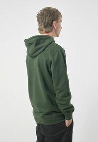 Green hoodie made of soft fabric, featuring a drawstring hood, ribbed cuffs, and a relaxed fit. Back view shows smooth texture and minimal design.