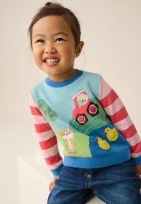 Knit sweater with a light blue body, pink striped sleeves, and colorful embroidered farm motifs including a tractor, animals, and trees.