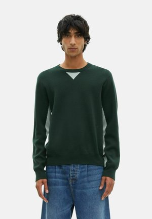 Jonge man met donker haar in een donkergroene crewneck trui met een lichtgrijze driehoekdetail en een blauwe spijkerbroek, rechtop staand.