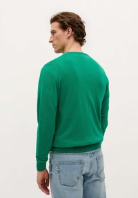 Groen gebreide trui met ronde hals en lange mouwen, met geribbelde manchetten en zoom, in combinatie met lichtblauwe denim jeans. Focus op de achterzijde.