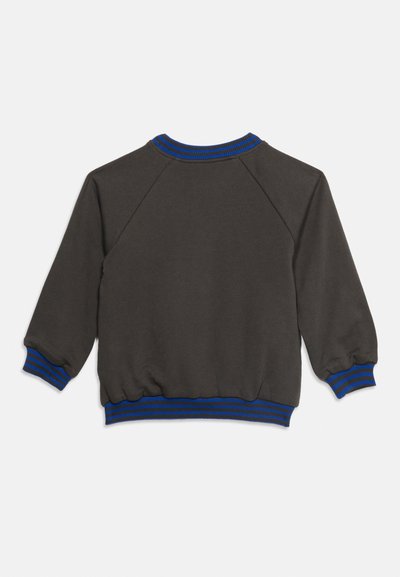 Sweat-shirt gris foncé à manches longues avec col, poignets et ourlet côtelés rayés bleu et noir, visible de dos sur fond blanc.