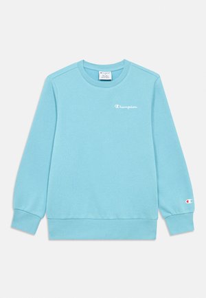 Light blue long-sleeve Champion sweatshirt with ribbed cuffs and hem, small white logo on chest, and small logo patch on left wrist.