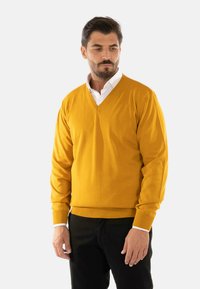 Maglione giallo senape a V, realizzato in un morbido materiale a maglia, con maniche lunghe e polsini a coste, indossato sopra una camicia bianca, abbinato a pantaloni neri.