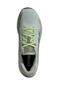adidas Performance SUPERNOVA RISE GTX - Scarpe da corsa su strada - wonsil silvmt olistr