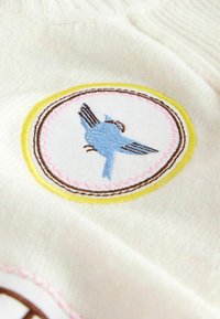 Kreemjas kangas on kaunistatud ringikujulise tikandiga, millel on sinine lind, mille välisjooned on kollased ja pruunid ning servas on roosad detailid.