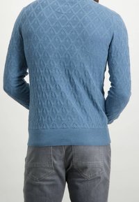 Blau strukturierter Pullover mit einem Diamantmuster, langen Ärmeln, geripptem Saum und Bündchen, kombiniert mit grauen Hosen. Rückansicht dargestellt.