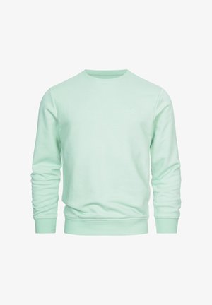 Crewneck-Sweatshirt in Minzgrün aus weichem Stoff, mit gerippten Bündchen und Saum, sowie einem kleinen Logo auf der Brust.