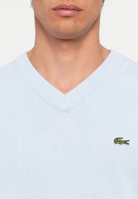 Lichtblauwe V-hals trui gemaakt van zachte gebreide stof. Heeft een klein groen krokodil logo op de linkerborst.