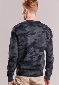 Polo Ralph Lauren Sweatshirt - grey