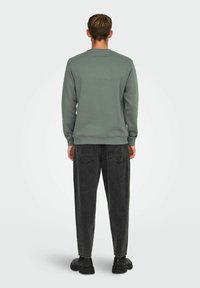 Lys grøn sweatshirt med lange ærmer, ribbede manchetter og kant. Båret med løstsiddende mørkegrå jeans og sorte sko. Enkel baggrund.