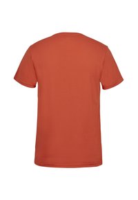 U.S. Polo Assn. ARJUN - Základné tričko - burnt ochre