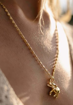 Goldene Halskette mit einem Elefantenanhänger, getragen am Hals einer Person, beleuchtet von weichem natürlichem Licht.
