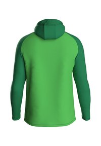 Grüne Kapuzenjacke mit einer soliden, glatten Textur. Verfügt über eine enganliegende Kapuze und lange Ärmel, mit dunkleren grünen Akzenten an den Schultern.