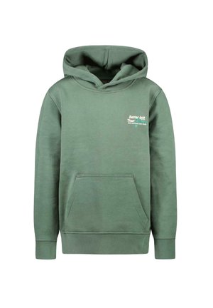 Cars Jeans DUKEY SW HOOD BOTTLE - Hoodie - bottle