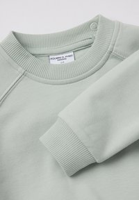 Lichtgroene sweatshirt met geribde ronde hals en manchetten, met een gladde textuur en een label dat aan de binnenkant is gestikt. Geen zichtbare graphics of patronen.