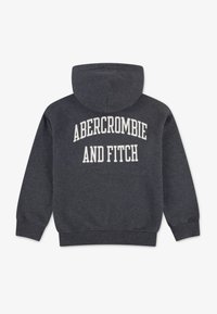 Felpa grigia scura con un grande grafico bianco "ABERCROMBIE AND FITCH" sulla schiena. Tessuto morbido, polsini e orlo a coste.